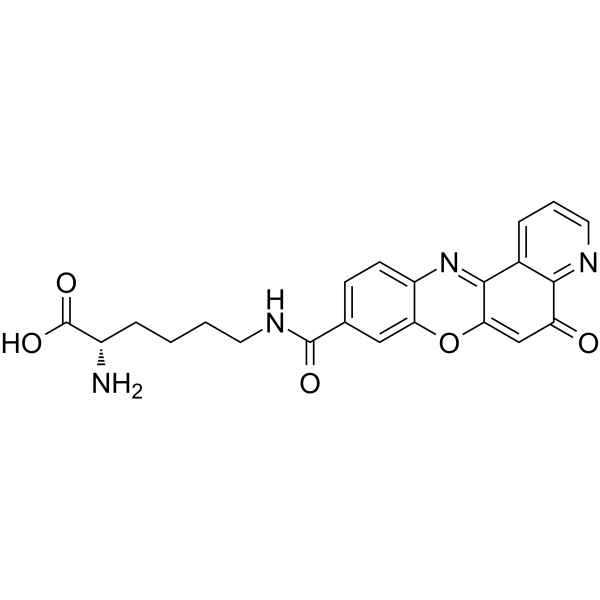 Topoisomerase IIα-IN-2 2407521-90-6